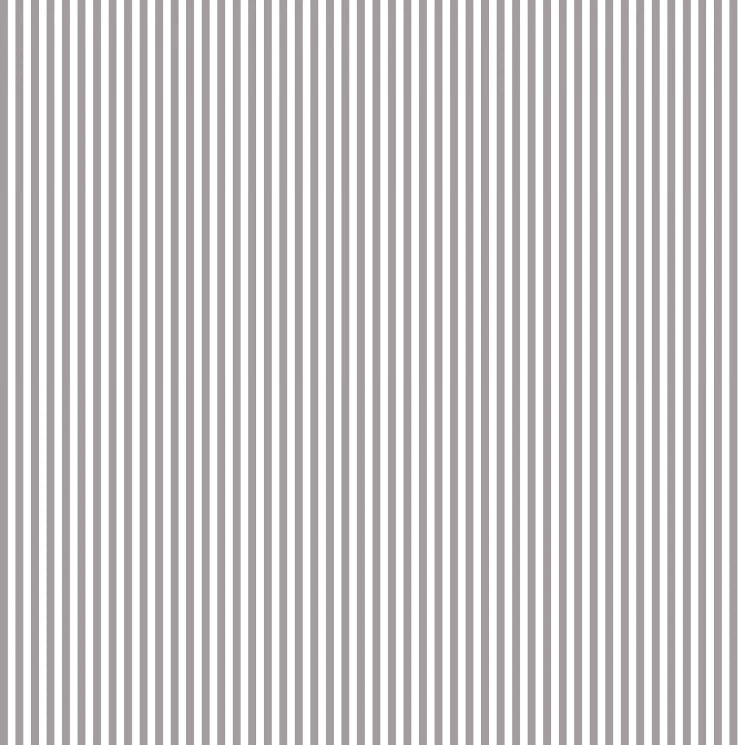 Gray 1/8th Stripe - Basic Stripe